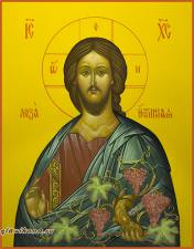 Христос Лоза Виноградная